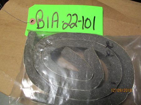 BIA-22-101